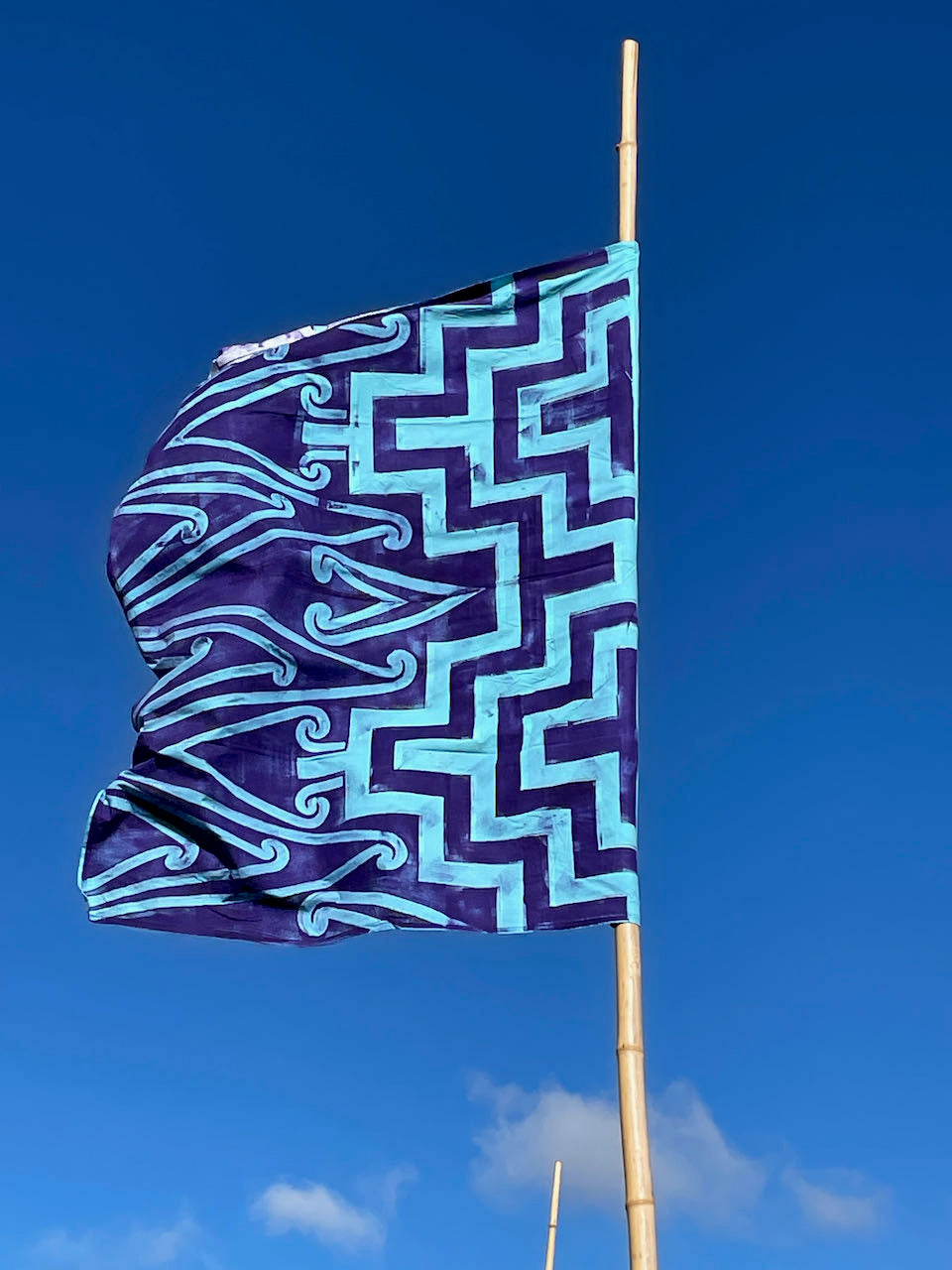 Flag Fiesta / Bunting Decoration Hire / Installation