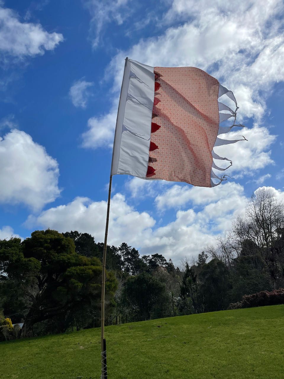 Flag Fiesta / Bunting Decoration Hire / Installation