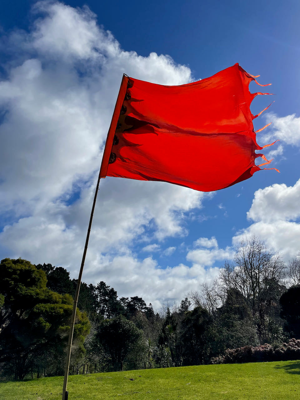 Flag Fiesta / Bunting Decoration Hire / Installation