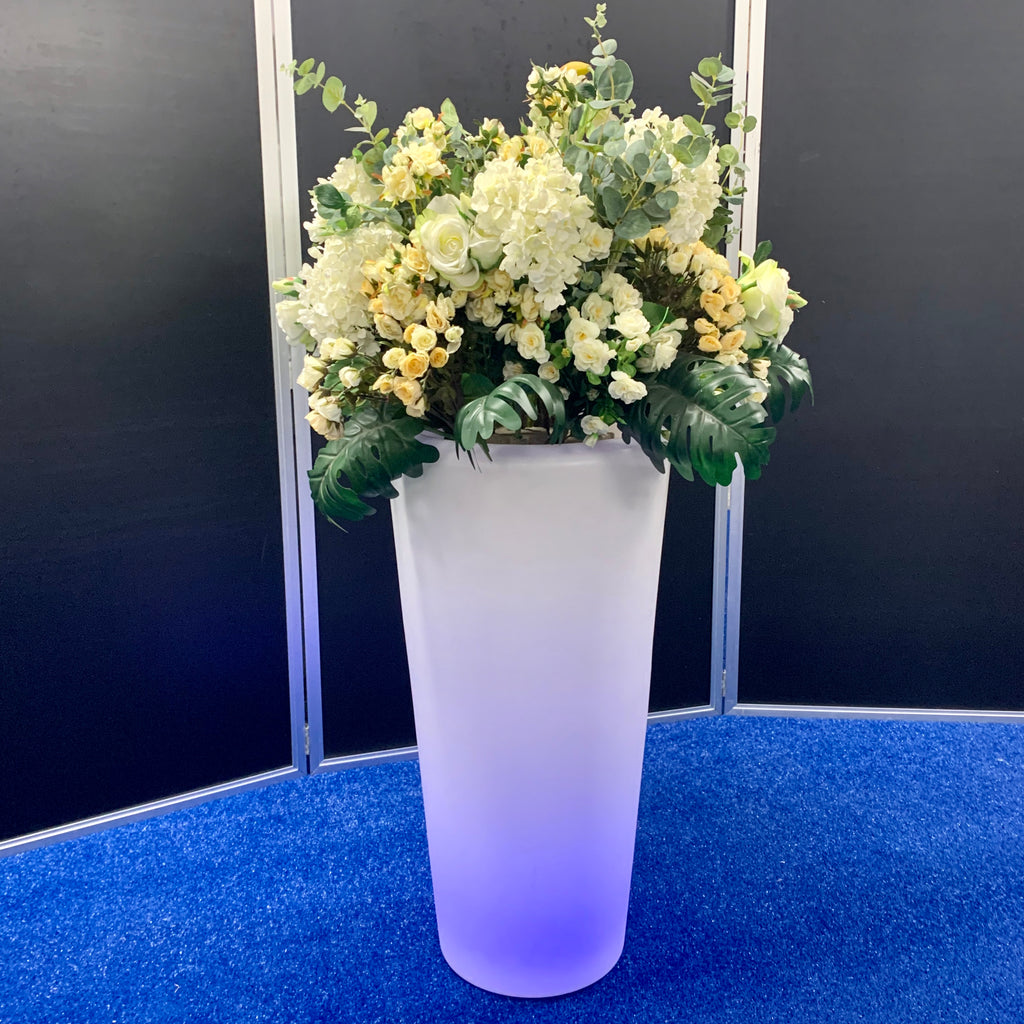 LED Plant Pot Hire