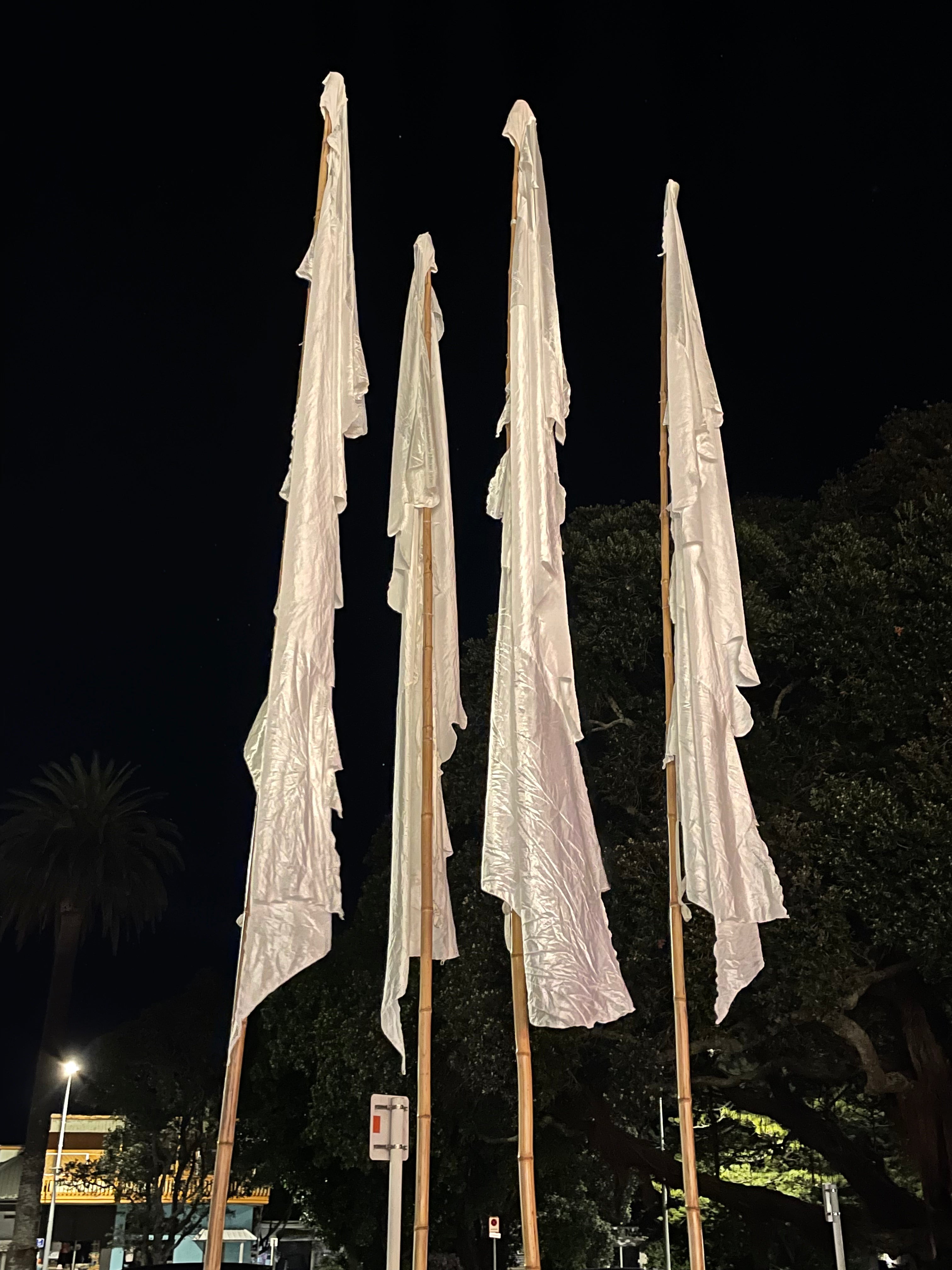 Flag Fiesta Installation / Hire