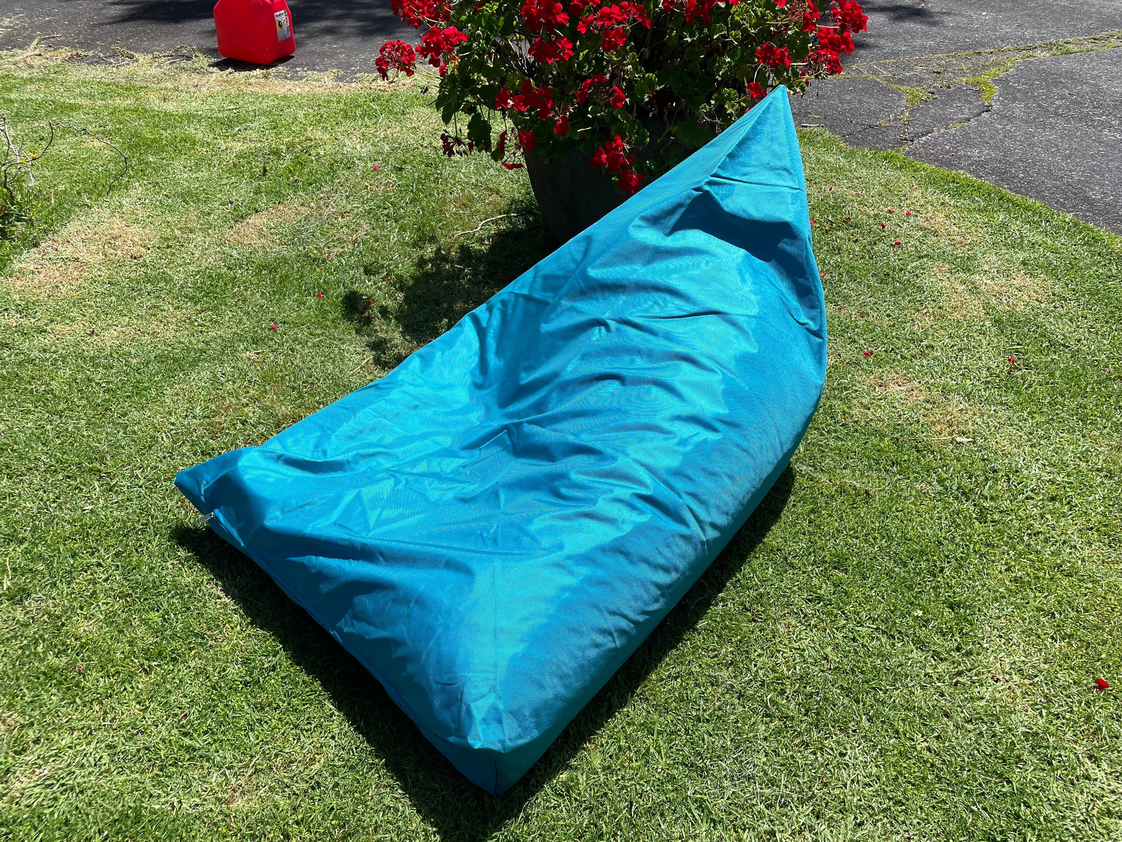 ECO-Friendly filled Bean Bags