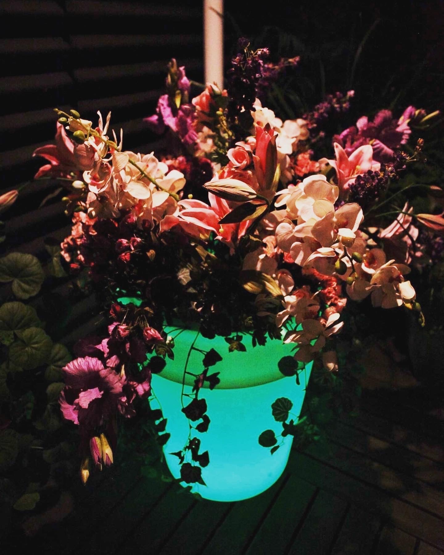 LED Glow Ice Bucket / Plant Pot