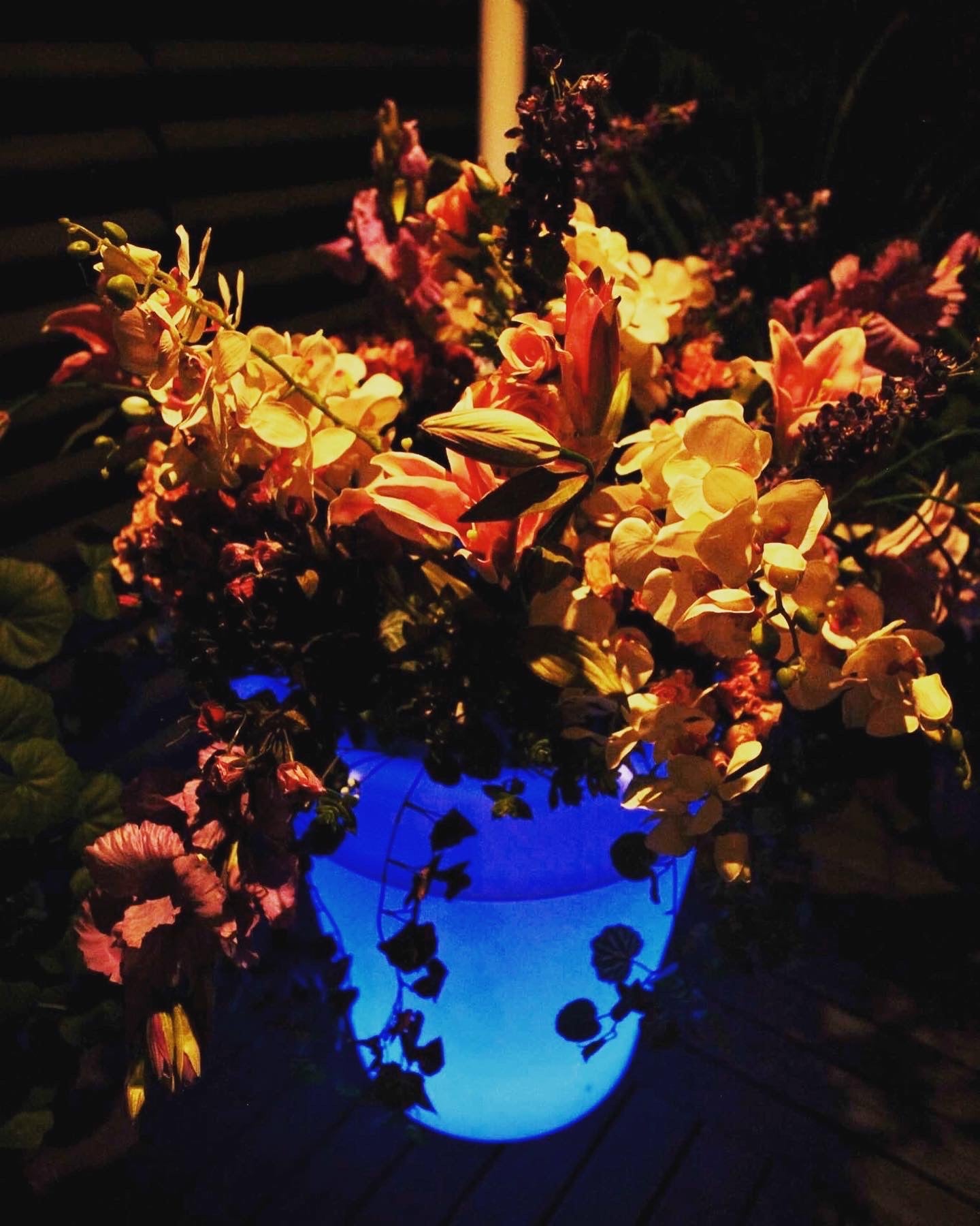 LED Glow Ice Bucket / Plant Pot