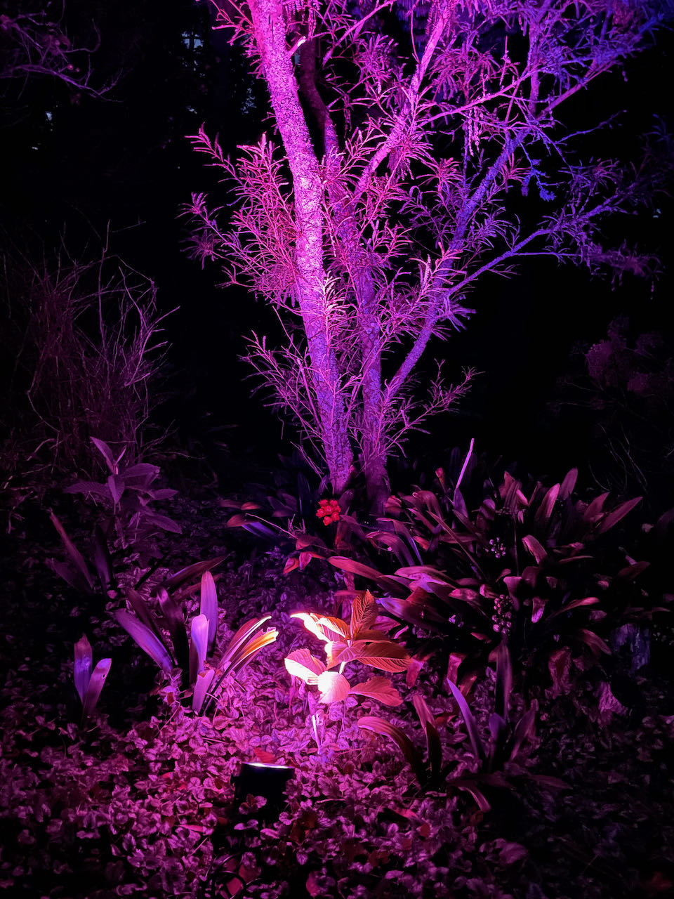 Multi-Coloured Par / Spot Light