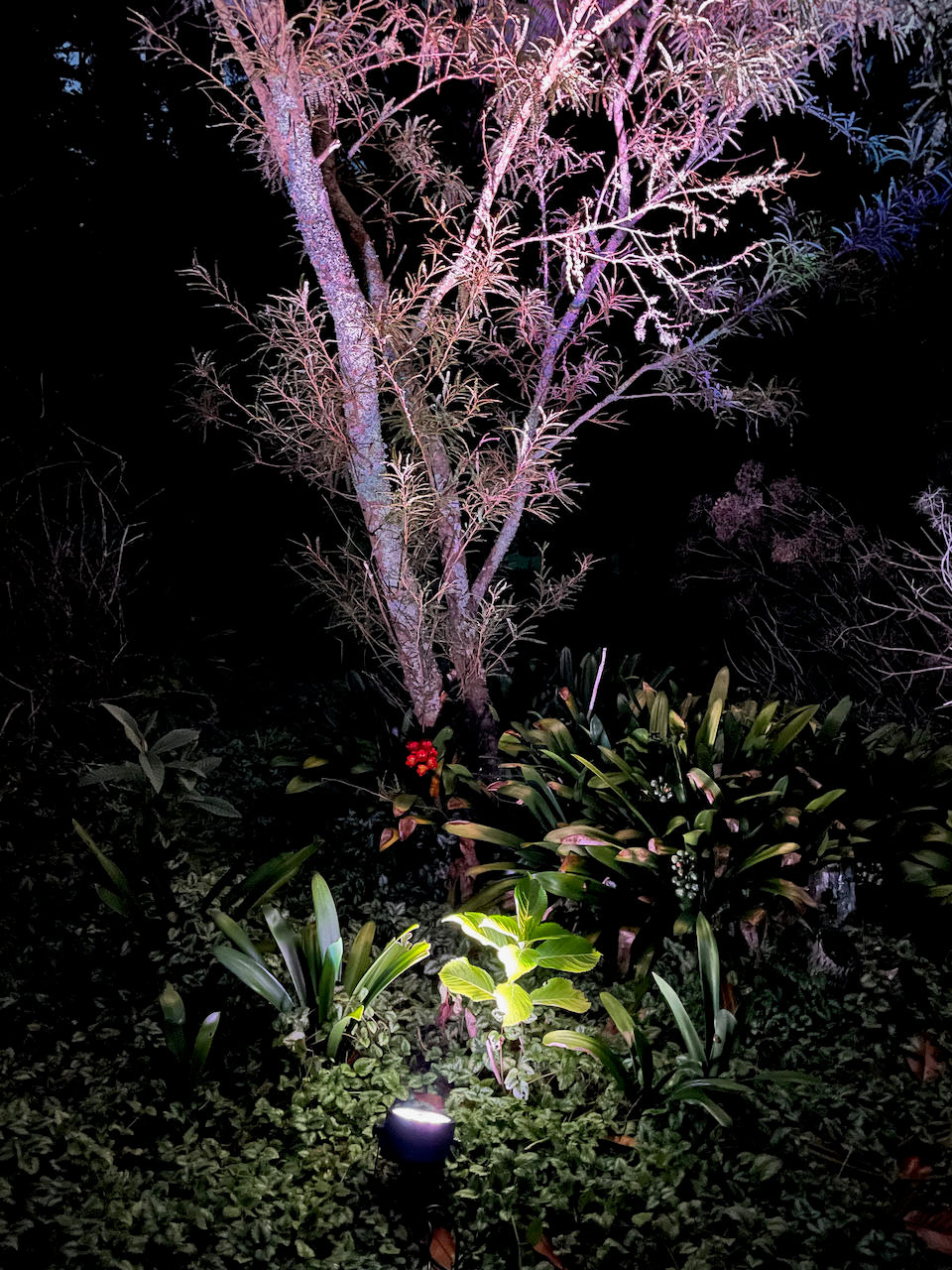 Multi-Coloured Par / Spot Light