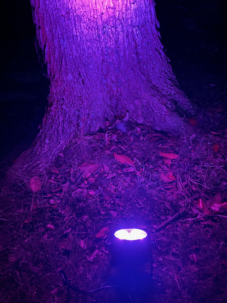 Multi-Coloured Par / Spot Light