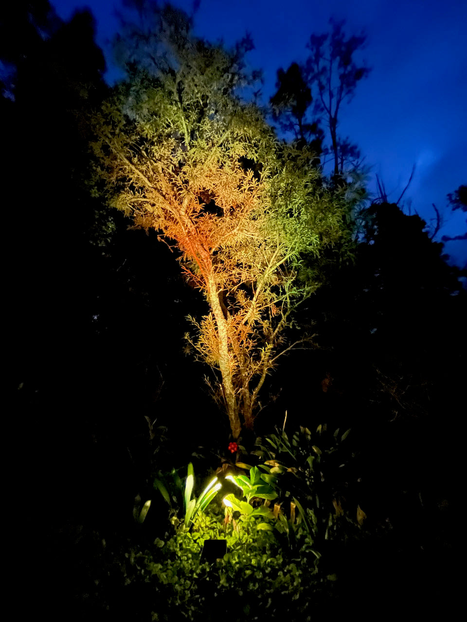 Multi-Coloured Par / Spot Light