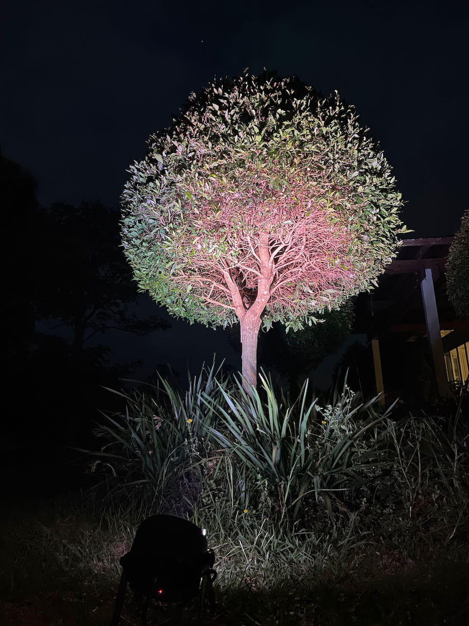 Multi-Coloured Par / Spot Light